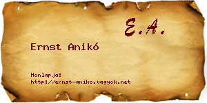 Ernst Anikó névjegykártya