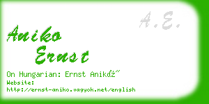 aniko ernst business card